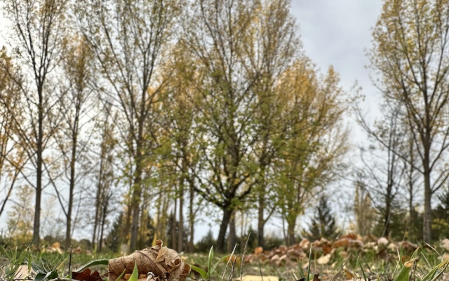 Finca Paraíso Rural