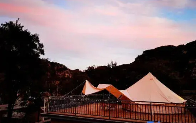 Three Houses and One Cat B&B