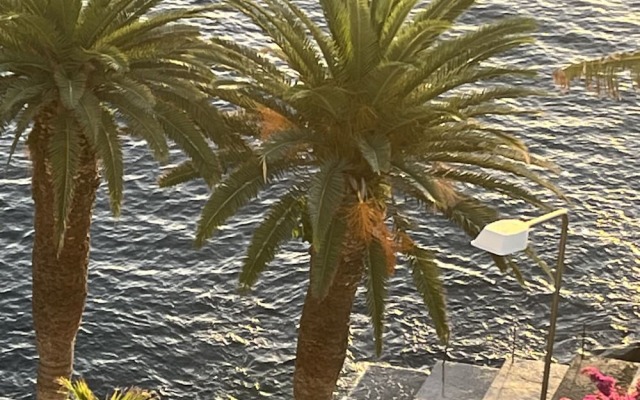 Apartamentos do mar 303