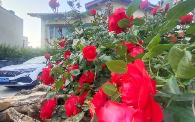 Huajianji Courtyard Home stay