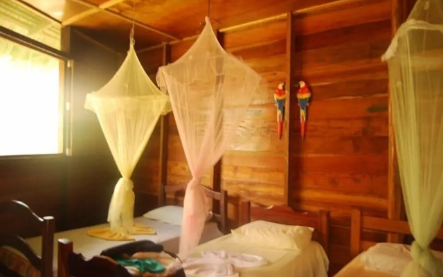 Ararinha Jungle Hotel