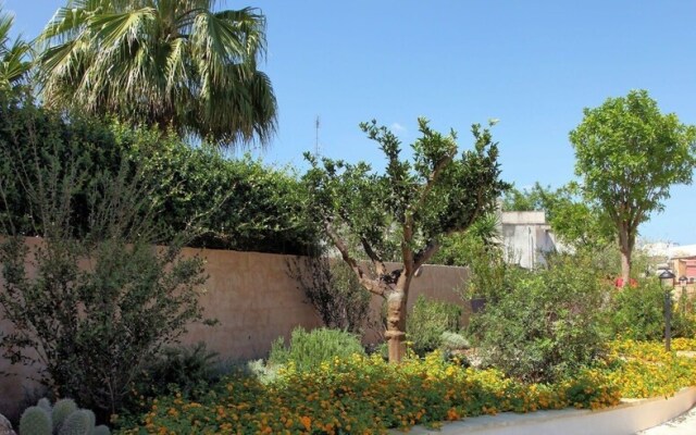 The Courtyard - Elsa