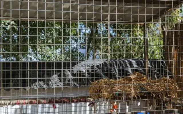 Tonglu Cangqiongjingshe Homestay