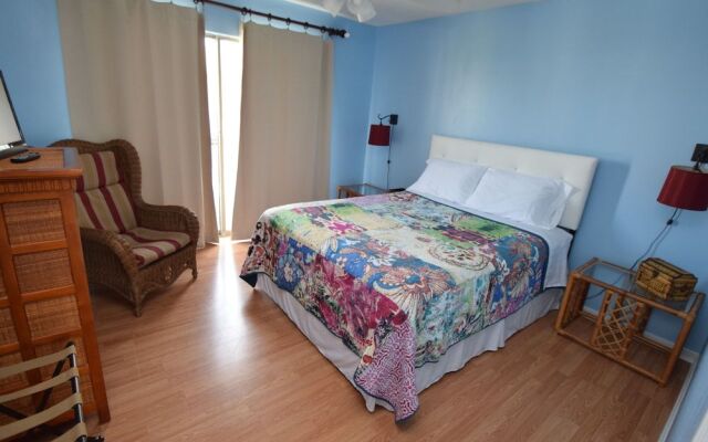 Sand Dollar 14 by RedAwning