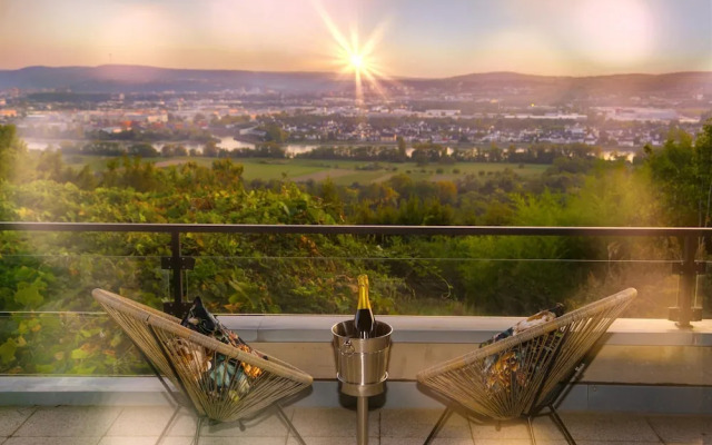 Villa in Koblenz With Rhine Views & Sauna
