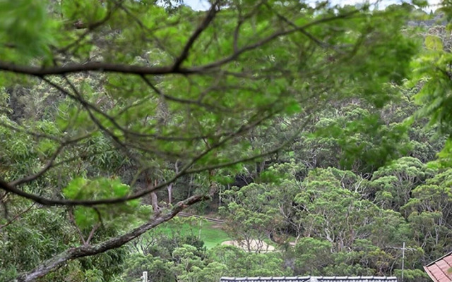 ALAN1 - Leafy Tranquil Home