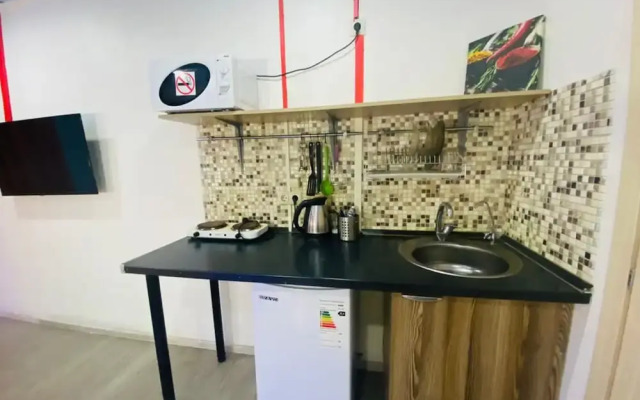 Apartment Hanaka Novosibirskaya 11