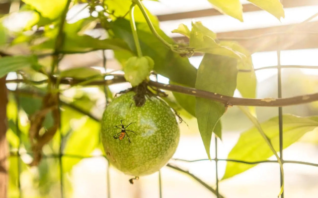 Pousada Vila Mariscalia