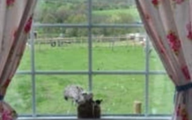 Ruby Shepherds hut Sleeps 4