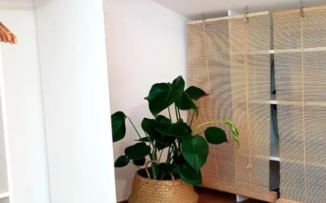 Studio Méditerranéenne