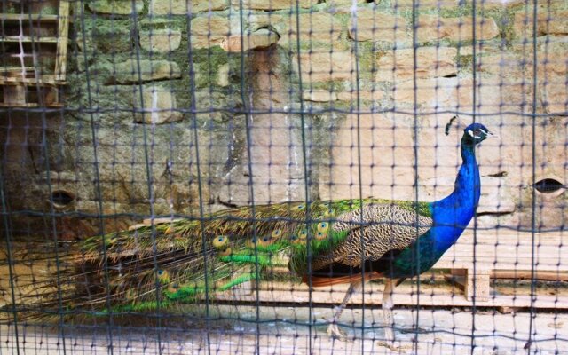 Le Rocche - Guest House