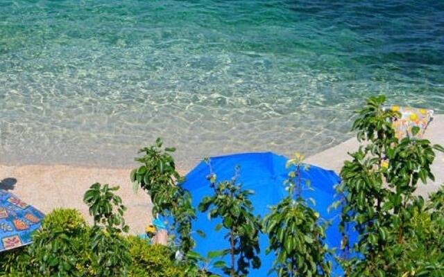 Milja - 10 m From sea - A1