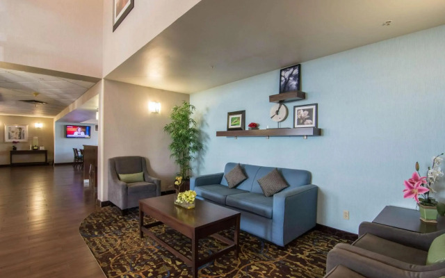 Comfort Inn & Suites Airport South