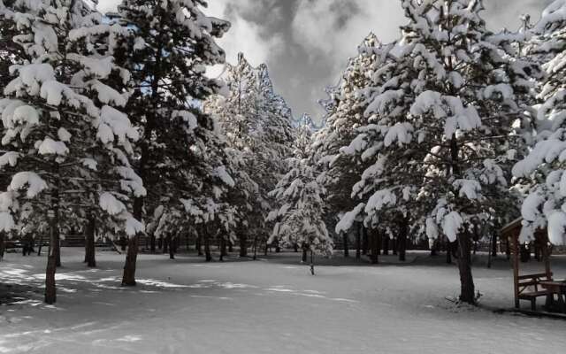 Fikri Atalay Konağı