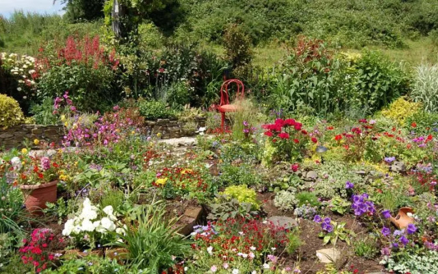 Tinnycross House B&B