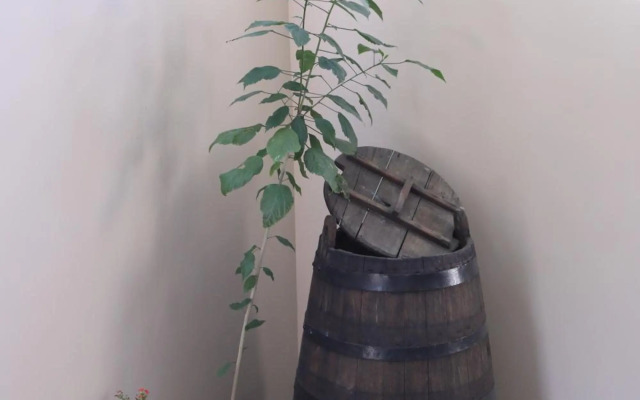 Tulip - 1BR - Self Checkin - Garden - BBQ - Netfli#