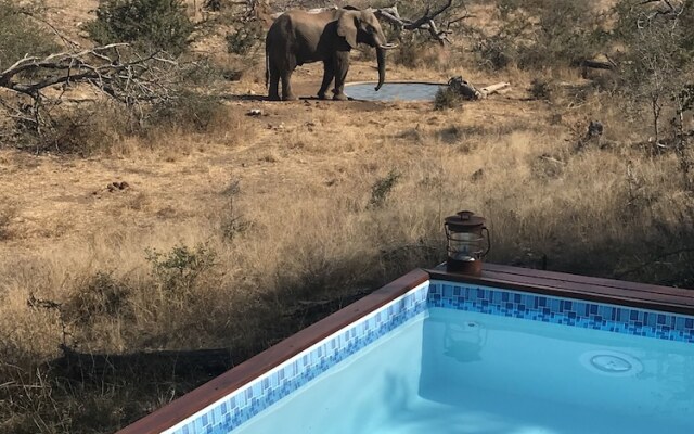 Ximongwe Safari Camp