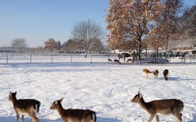 B&B Roodbeekerhof