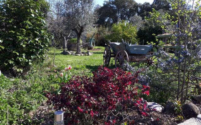 Gîte atypique : Le Pod