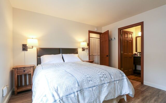 Snowflower 3 Remodeled and Modern, Private Washer Dryer with Fireplace by RedAwning