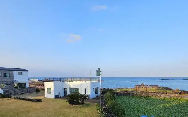 Hadori1beonji