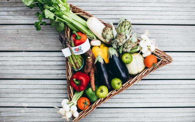 Hôtel Barrière Le Royal La Baule