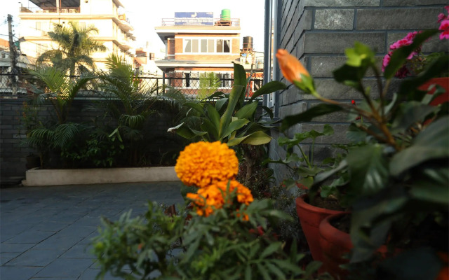 OYO 164 Hotel Tulip Pokhara Inn