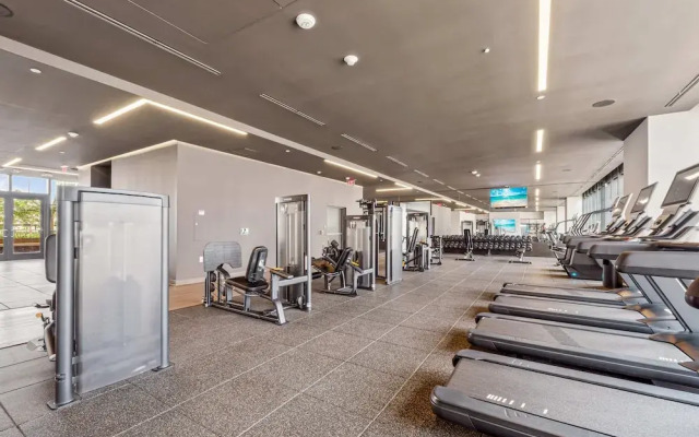 Perfect Studio Stay in Downtown Miami