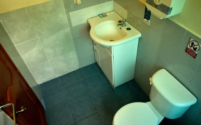 Flightless Cormorant