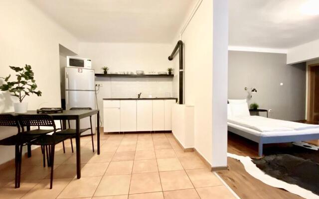 Budget Apartment by Hi5 - Károly 16.