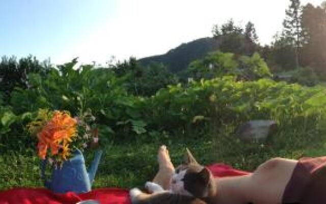 The Rustic House of the Fjord