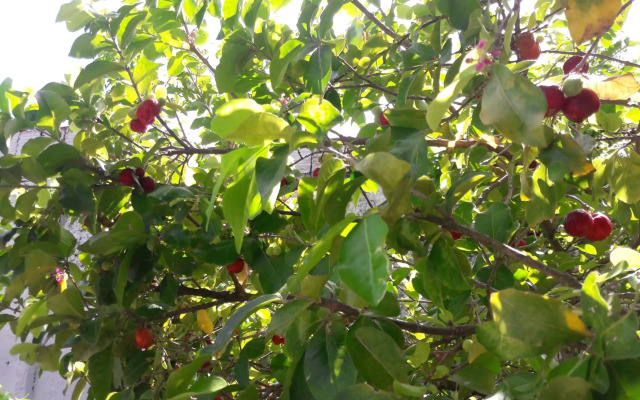 Residence Rota do Sol