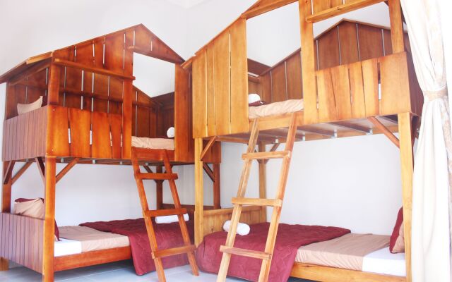 Tree House Hostel