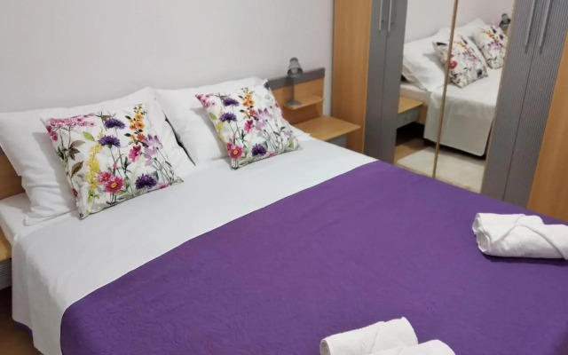 Apartment Savic
