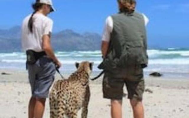 Beach front property