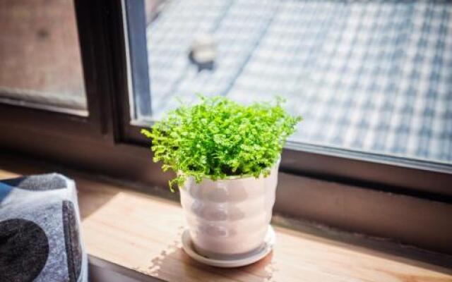 Xing Long No 37 Hostel