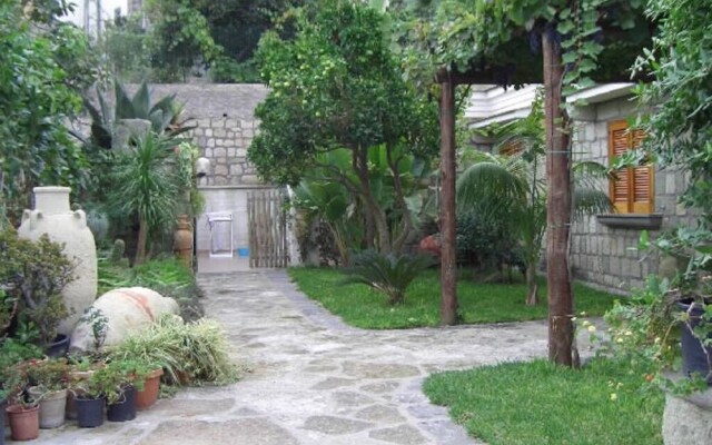 Bungalos Bucerias Busepary