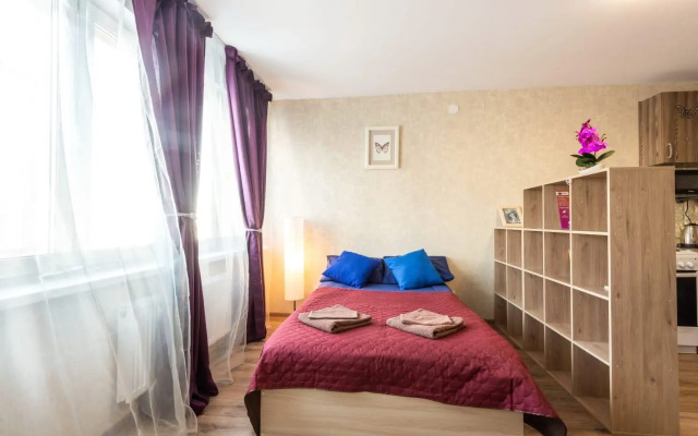 Ночка Сутки на улице Мечтателей