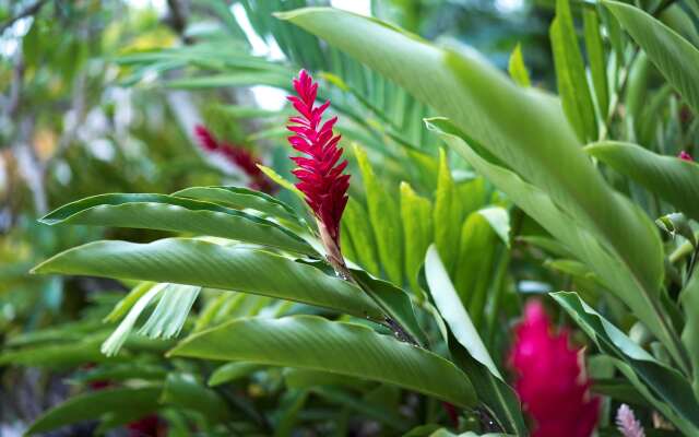 Hyatt Regency Guam