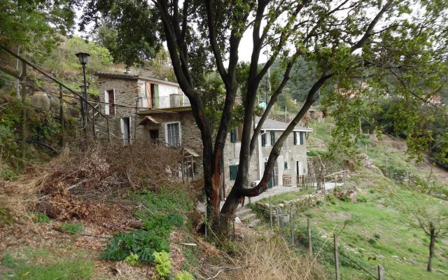 La quiete accesa