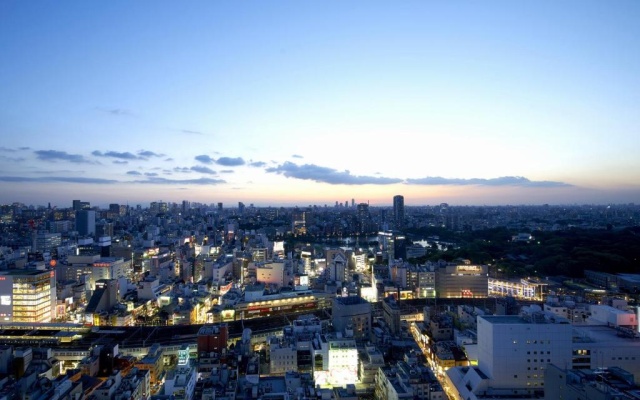 Comfort Single room with Tokyo City View 사진 2
