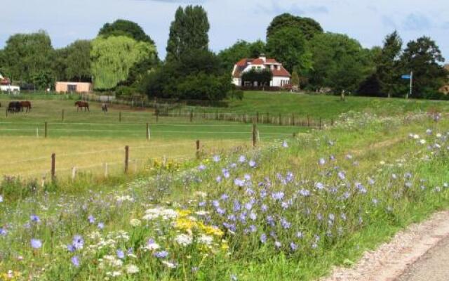 Alphen Gld - Holidayhome