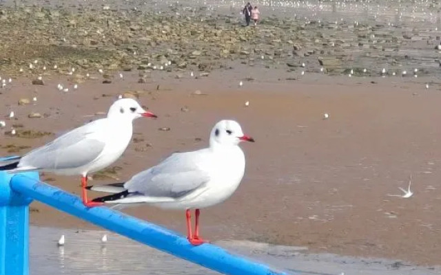 1 Minute Seaview Apartment