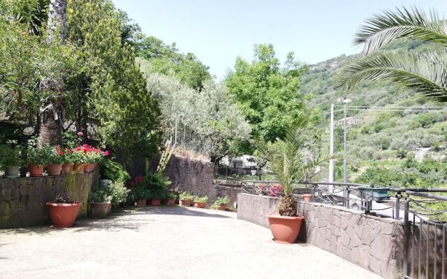 Il Giardino