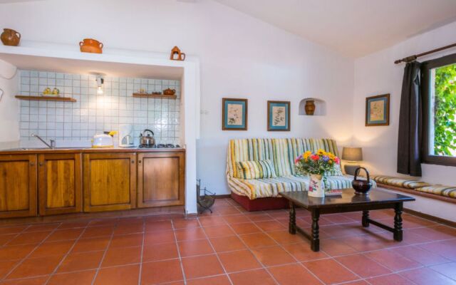 Bardeggiano - Caterina 6 (COL242)