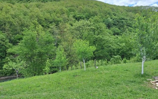 Country house Tara Orasac