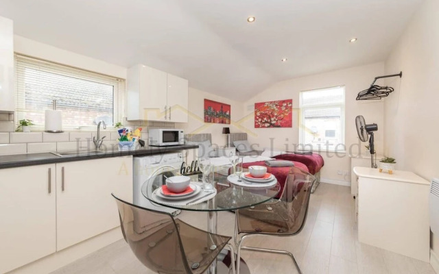 Bedford Hospital Studio Apartment - Victoria D