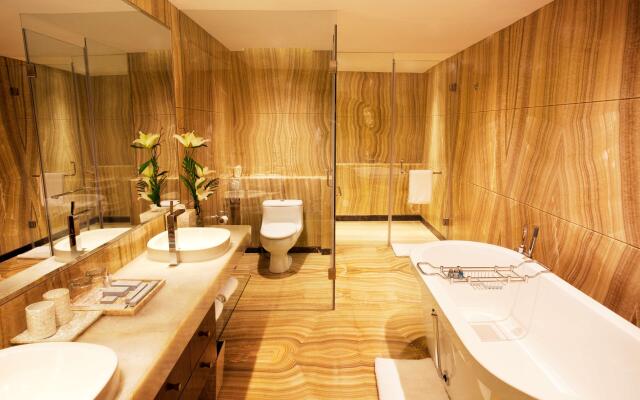 Radisson Blu Plaza Delhi Airport