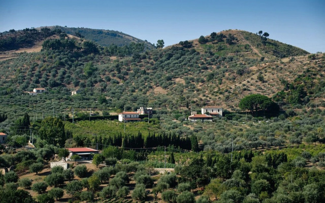 La Collina degli Ulivi - Casa Limoni 2