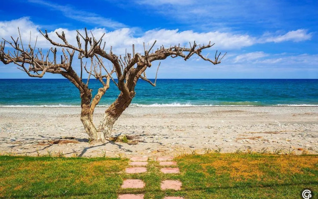 Oliva Beach Studios & Apartments